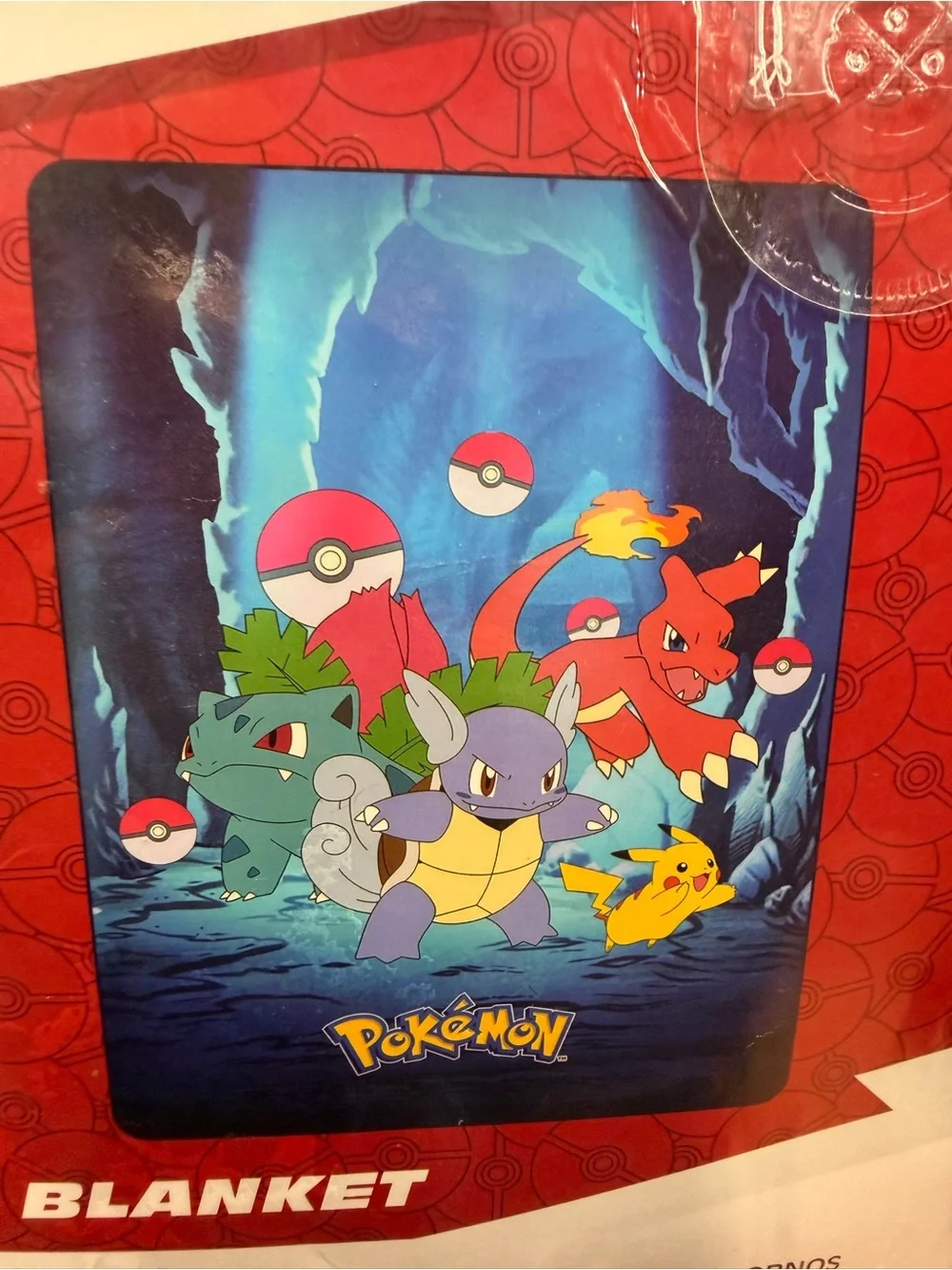 Pokémon Raschel Blanket 60 x 80 in.